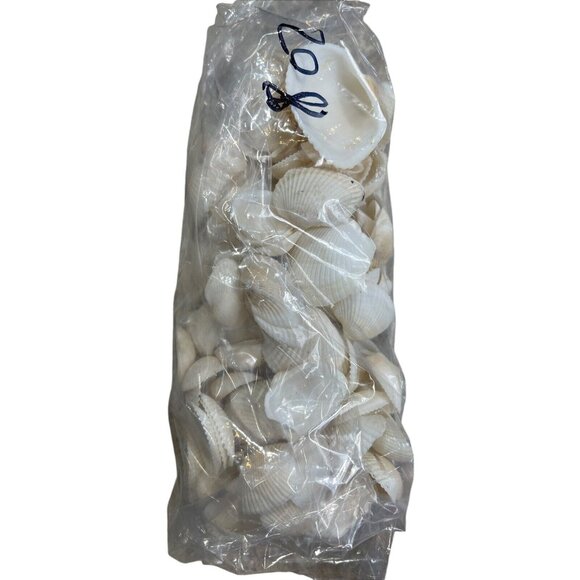 8 oz. Bul Natural Seashells Ocean Small White Clam Shell Crafts - Picture 1 of 5